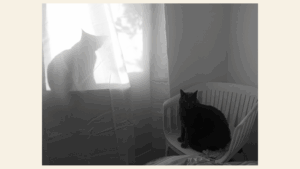 Dualidad // Galia Fonseca Portilla.