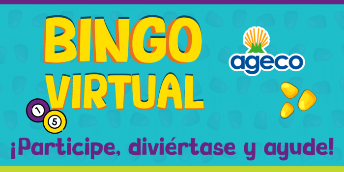 Reglamento Bingo Virtual