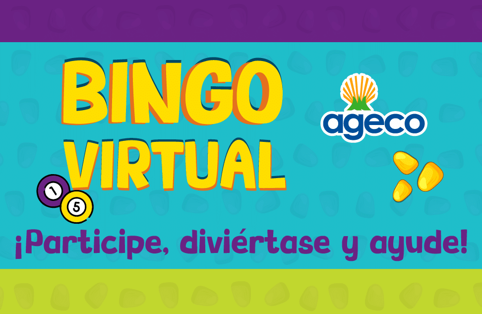 Reglamento Bingo Virtual
